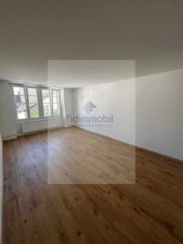 APPARTEMENT ENTIÈREMENT RÉNOVÉ DANS QUARTIER CALME - Ansicht 6