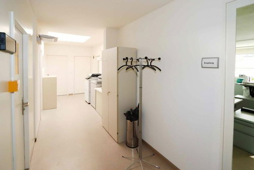 null rooms Office & Commercial to buy in Mitlödi - image 1/12
