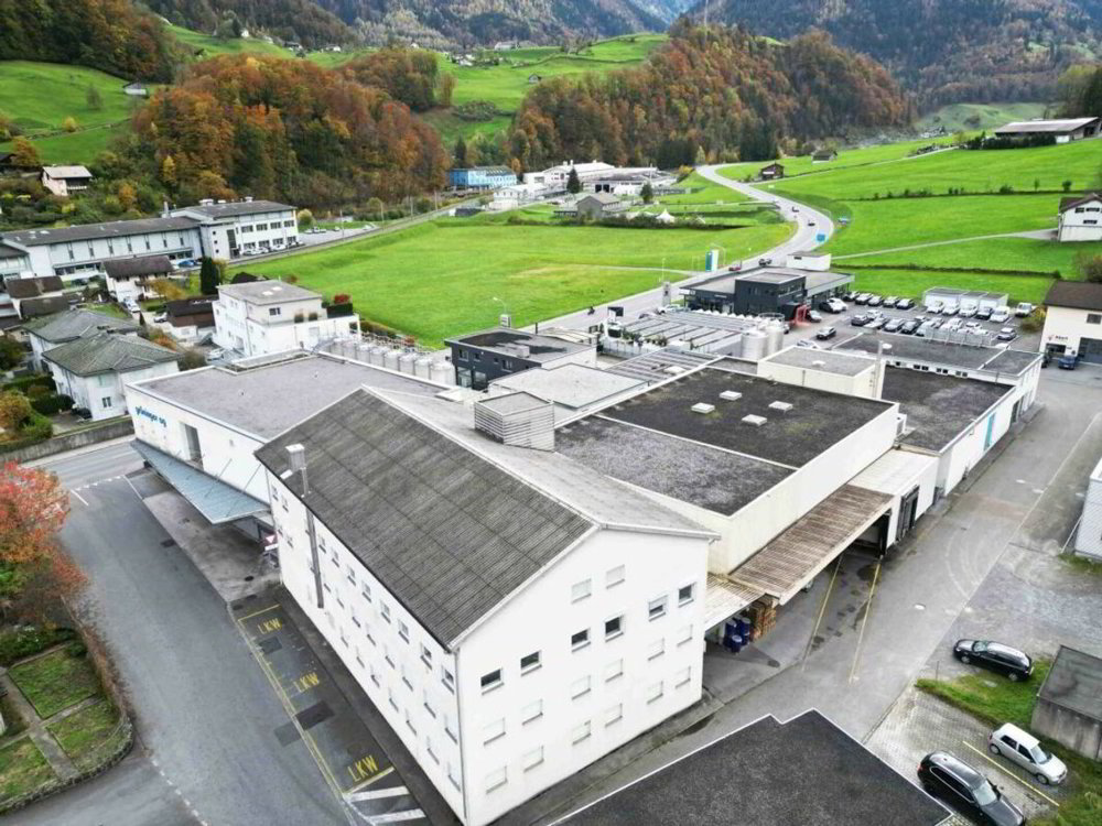 Entrepôt en vente à Mitlödi - 1 915 m² - Ansicht 3