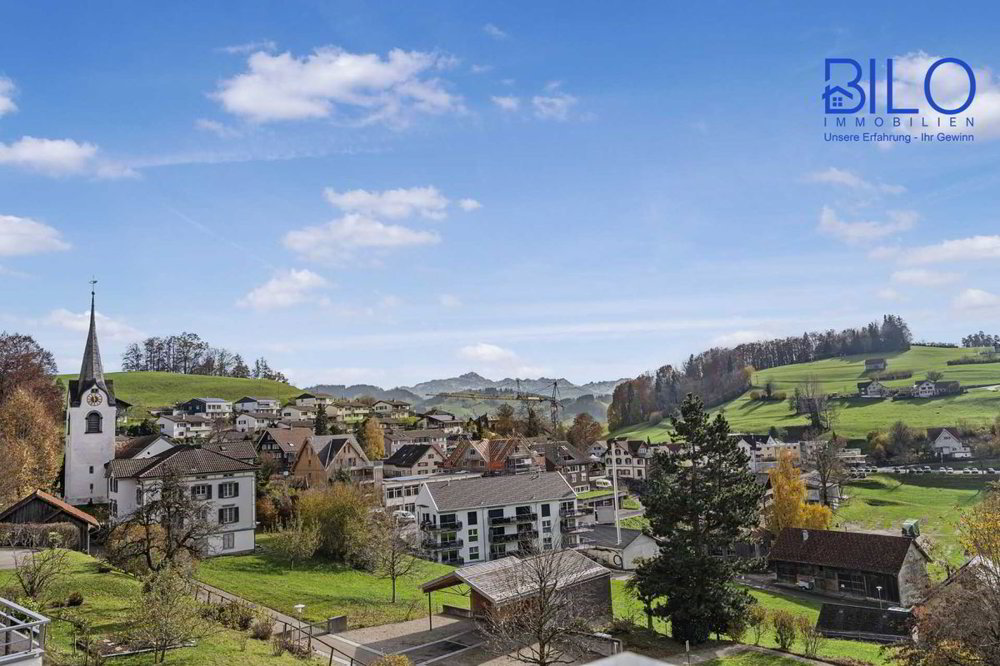 Appartement 4 pièces à acheter à Oberhelfenschwil - image 1/13