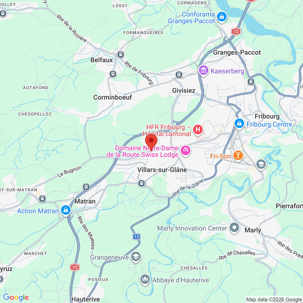 Appartamento di 2 locali in affitto a Villars-sur-Glâne - immagine 1/6
