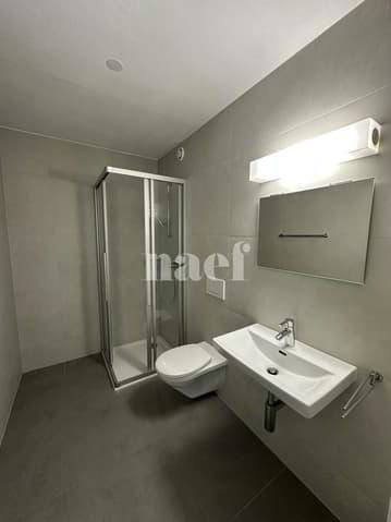 Appartement 5.5 pièces à louer à Delémont - image 1/10