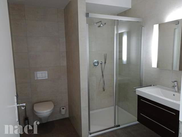 Appartement 6 pièces à louer à Genève - image 1/8