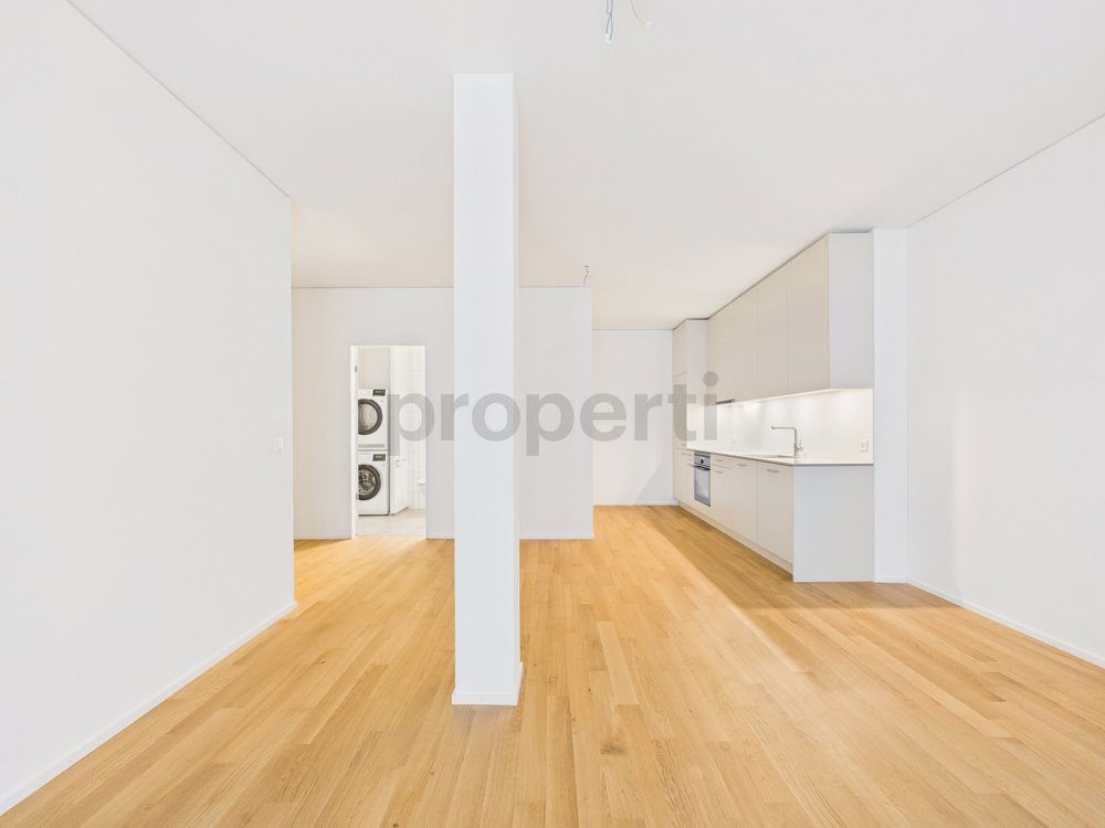 Apartment in Basel, Gundeldingen - Ansicht 4