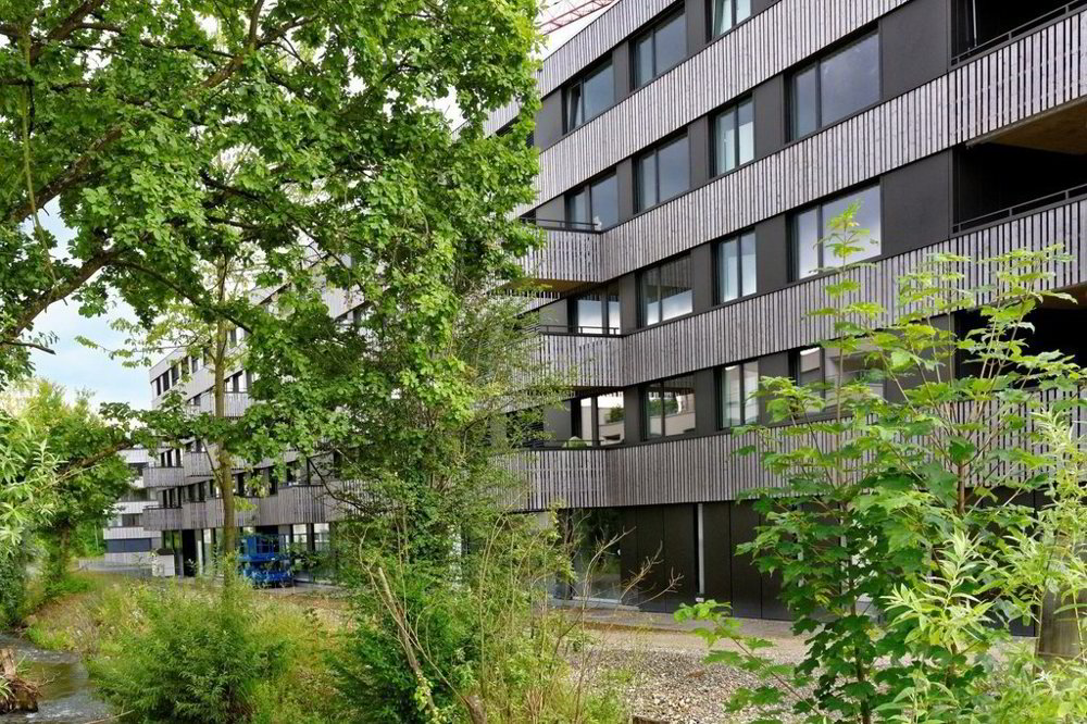 Appartamento di 3.5 locali in affitto a Aarburg - immagine 1/9