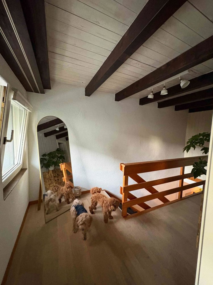 1 Zimmer Haus zu vermieten in Altnau - Bild 1/11