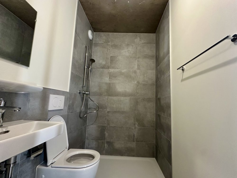 5 Zimmer Wohnung zu vermieten in Carouge GE - Bild 1/11