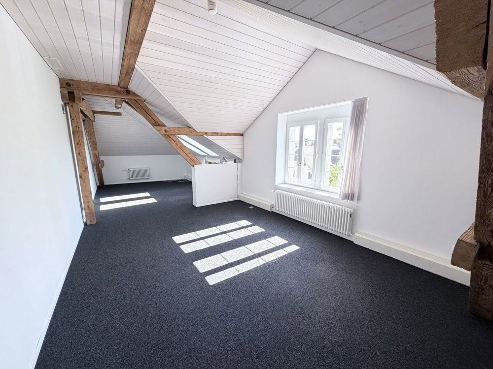 10 Zimmer Büro zu vermieten in Langenthal - Bild 1/9