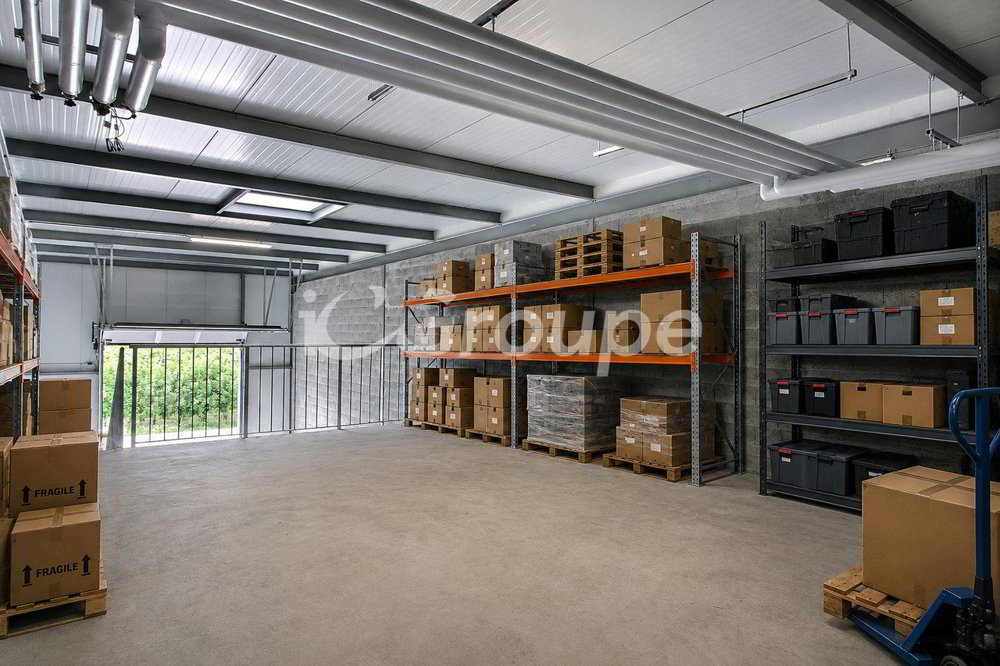 null rooms Office & Commercial for rent in Saxon - image 1/13