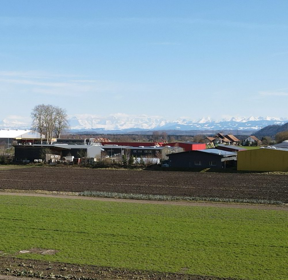 Appartamento di 5 locali in vendita a Gampelen - immagine 1/4