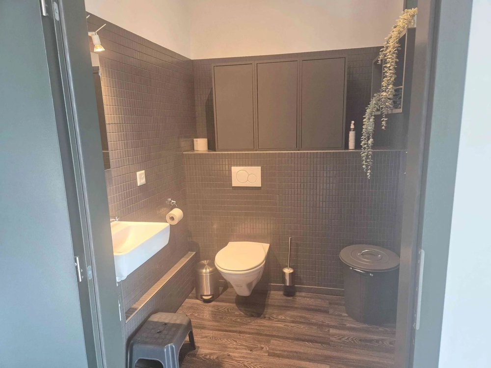 1 rooms Office & Commercial for rent in Grand-Lancy - image 1/6