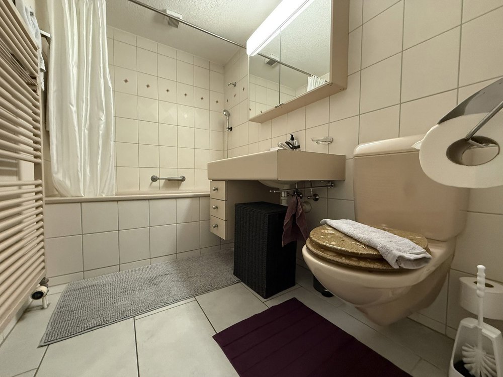 1 rooms Apartment for rent in Birmensdorf ZH - image 1/13