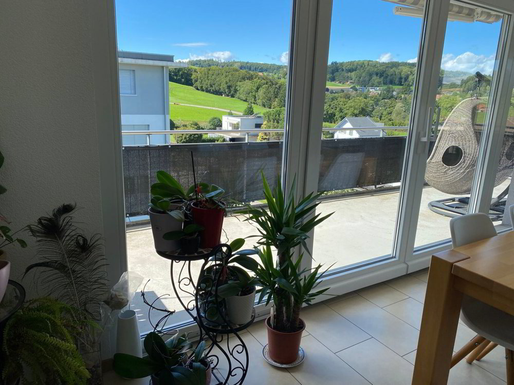 5.5 Zimmer Wohnung zu vermieten in Belfaux - Bild 1/10