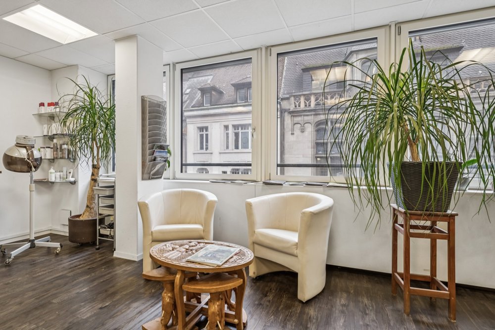 null rooms Office & Commercial for rent in Bâle - image 1/5