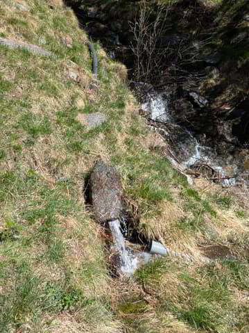Maison 2 pièces à acheter à Gabi (Simplon) - image 1/13