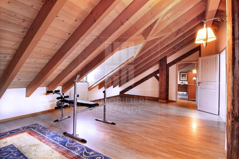 Maison 8 pièces à acheter à Satigny - image 1/13