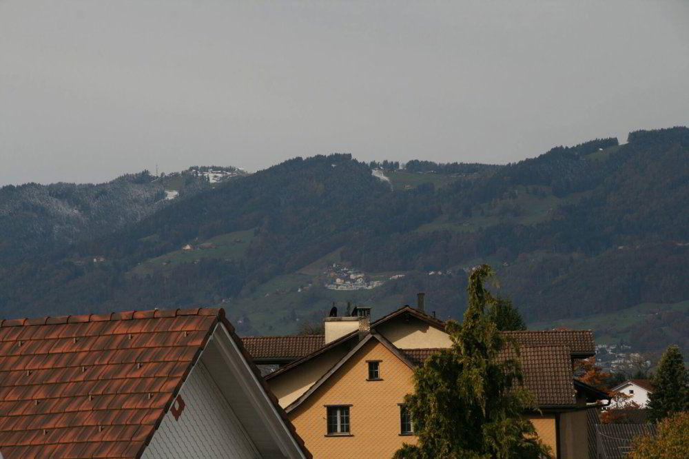 Appartamento di 3.5 locali in affitto a Diepoldsau - immagine 1/8