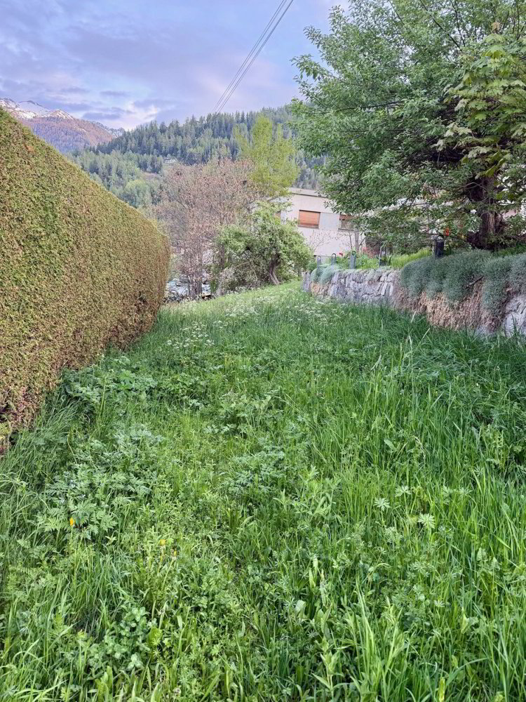 null Zimmer Grundstuck zum verkaufen in Haute-Nendaz - Bild 1/4