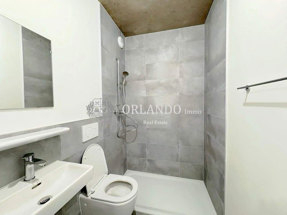 Appartement 5 pièces à louer à Carouge GE - image 1/8