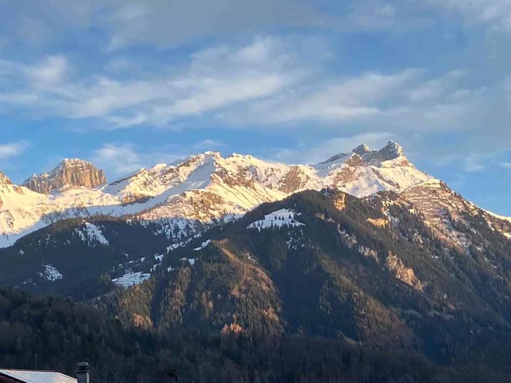 Appartamento di 2.5 locali in affitto a Ollon VD - immagine 1/8