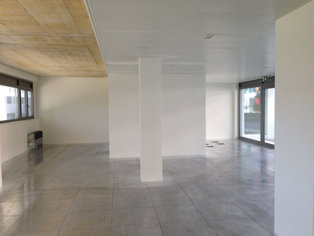Ufficio & Commercio di null locali in affitto a Nyon - immagine 1/2