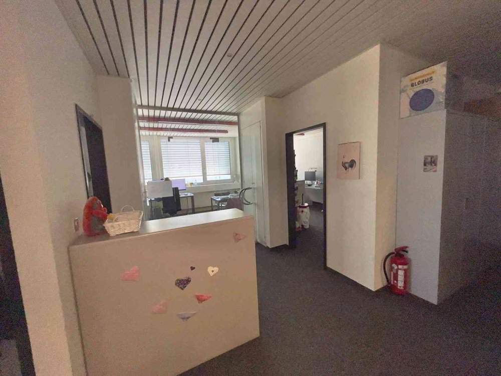 Ufficio & Commercio di null locali in affitto a Urtenen-Schönbühl - immagine 1/13