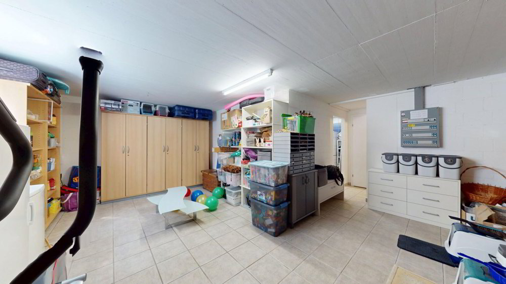 5.5 rooms House to buy in Obfelden - image 1/19