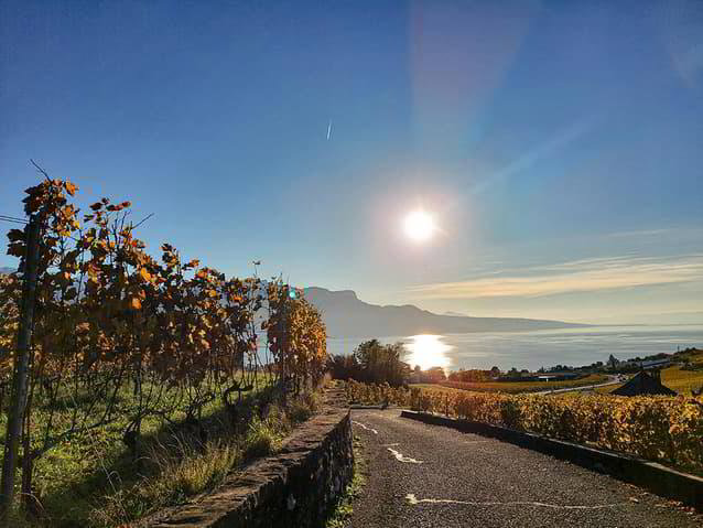 6.5 rooms House to buy in Chardonne - image 1/3
