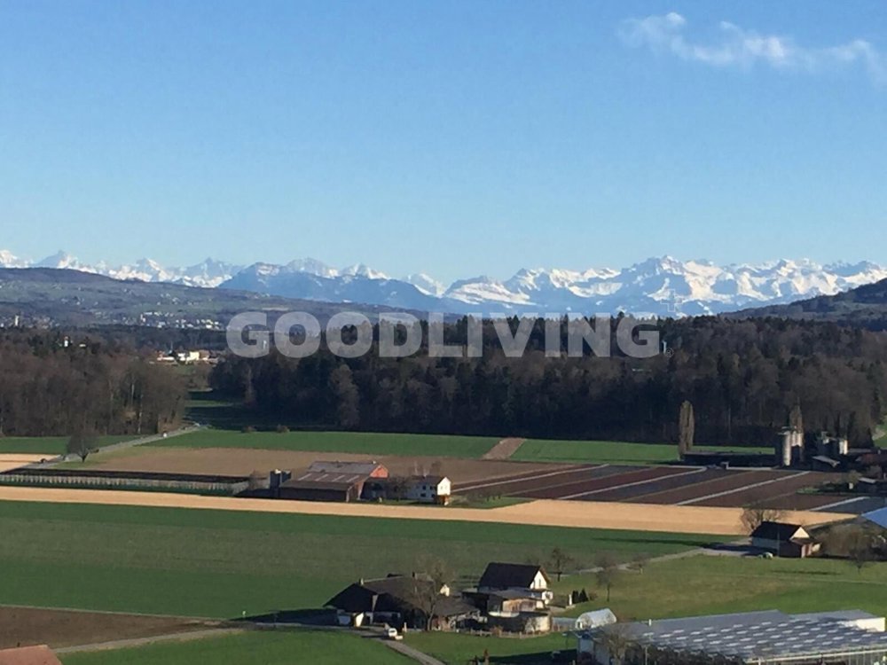 5.5 rooms Miscellaneous to buy in Schafisheim - image 1/10