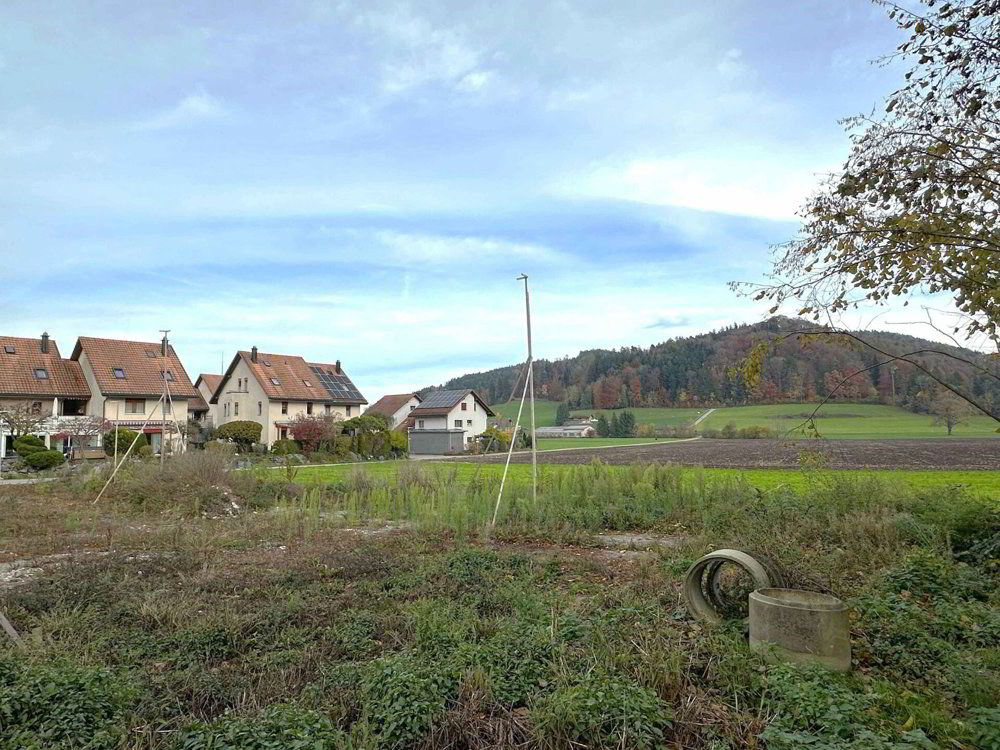 5.5 Zimmer Haus zum verkaufen in Bichelsee - Bild 1/6