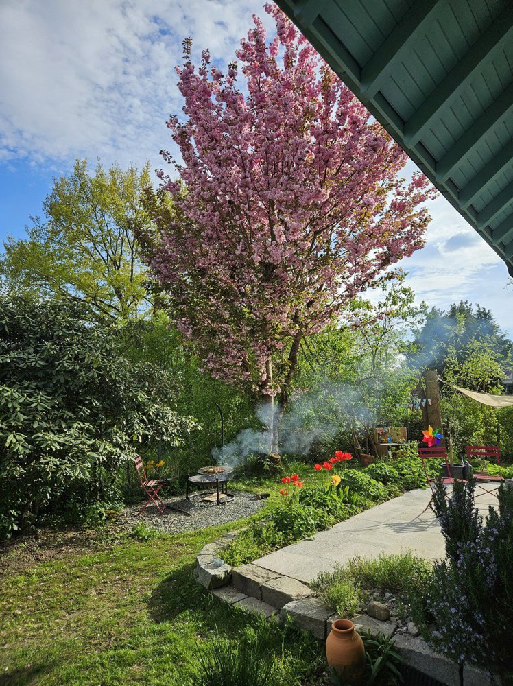 Maison 4 pièces à louer à Luterbach - image 1/9