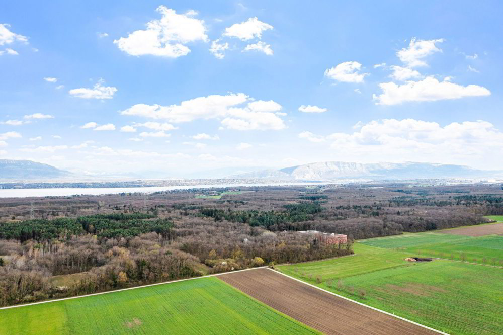 Appartamento di 4.5 locali in affitto a Chavannes-des-Bois - immagine 1/15