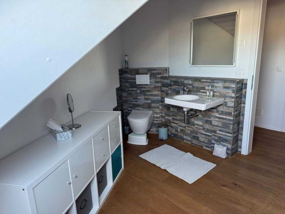 3.5 rooms Apartment for rent in Alchenflüh - image 1/8