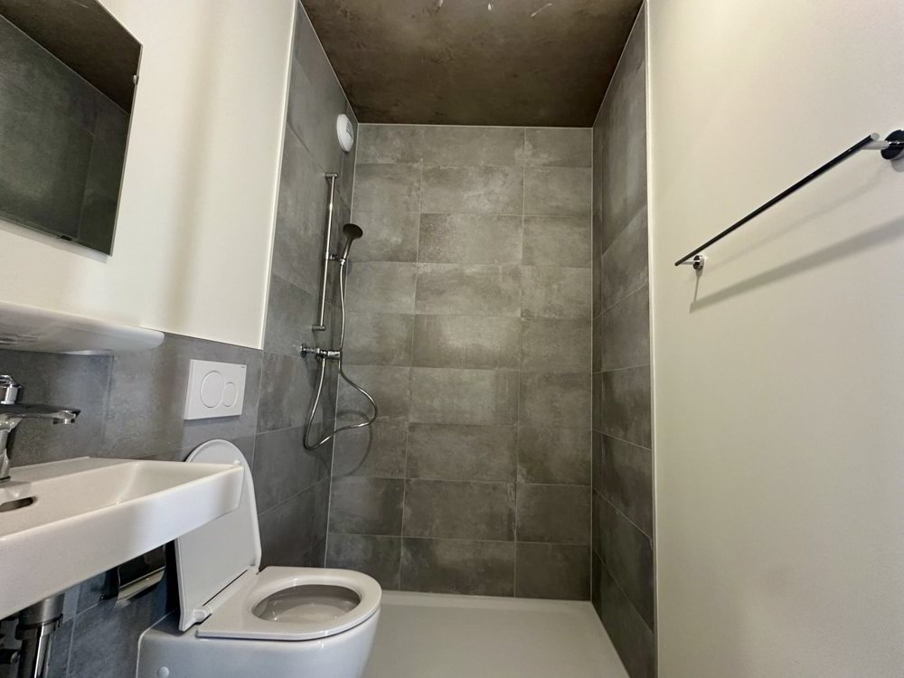 5 Zimmer Wohnung zu vermieten in Carouge GE - Bild 1/12