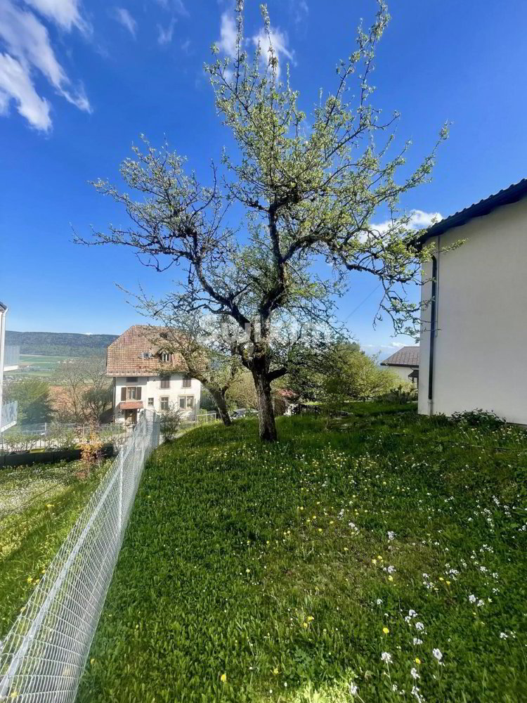 6.5 rooms House to buy in Les Hauts-Geneveys - image 1/7