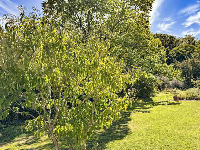 12.5 rooms House to buy in Epalinges - image 1/3