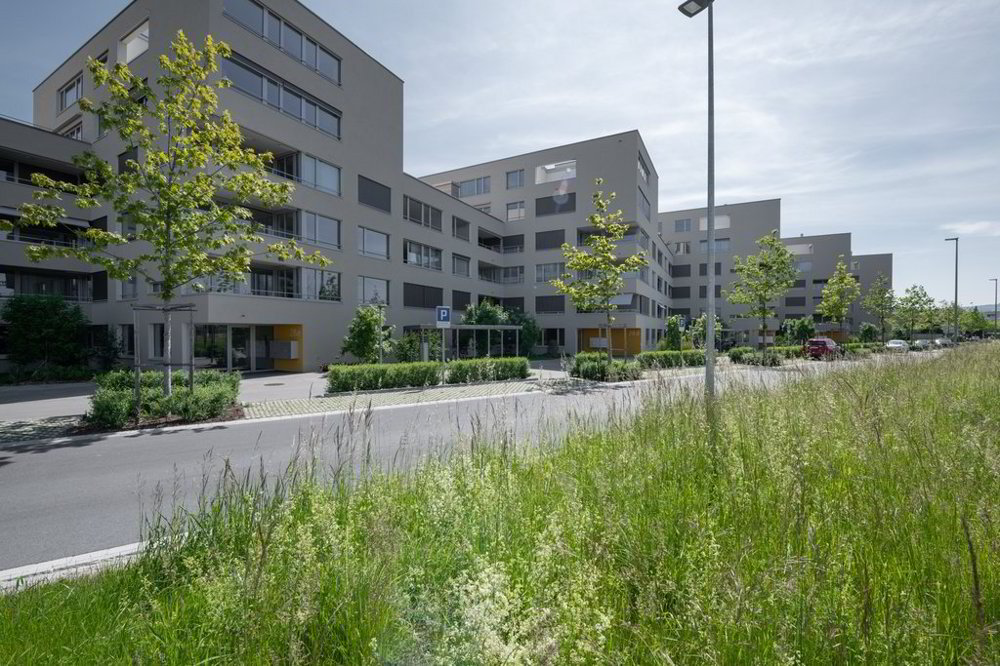3 rooms Apartment for rent in Lyss - image 1/10