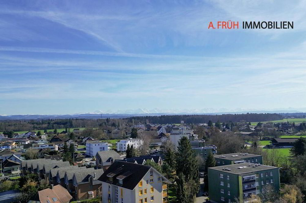 Appartamento di 9 locali in vendita a Derendingen - immagine 1/13