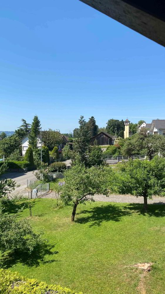 2.5 Zimmer Wohnung zu vermieten in Berg TG - Bild 1/12