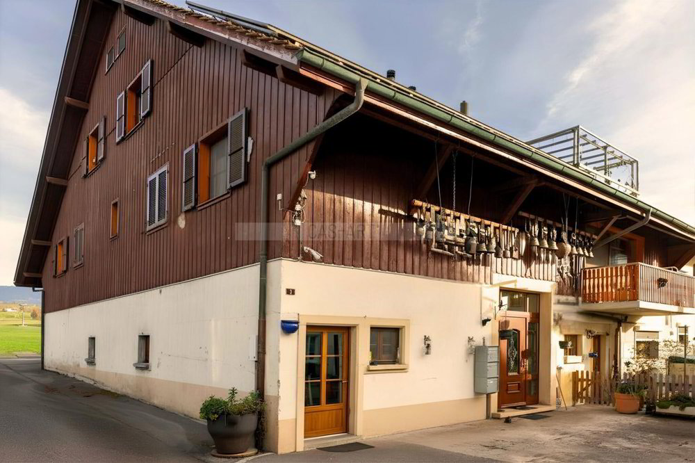 null Zimmer Haus zum verkaufen in Palézieux-Village - Bild 1/19