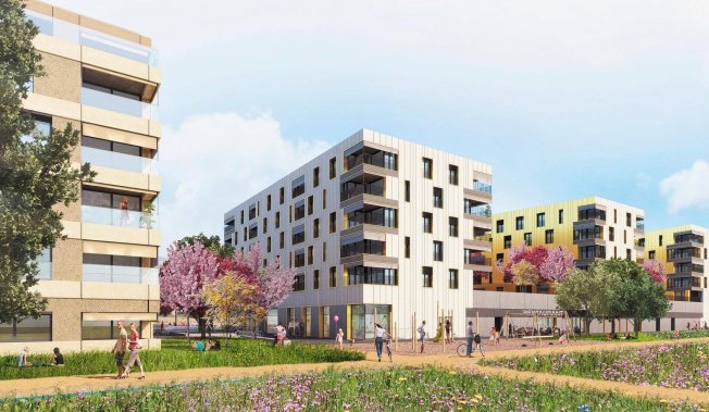 3 Zimmer Wohnung zu vermieten in Orbe - Bild 1/1