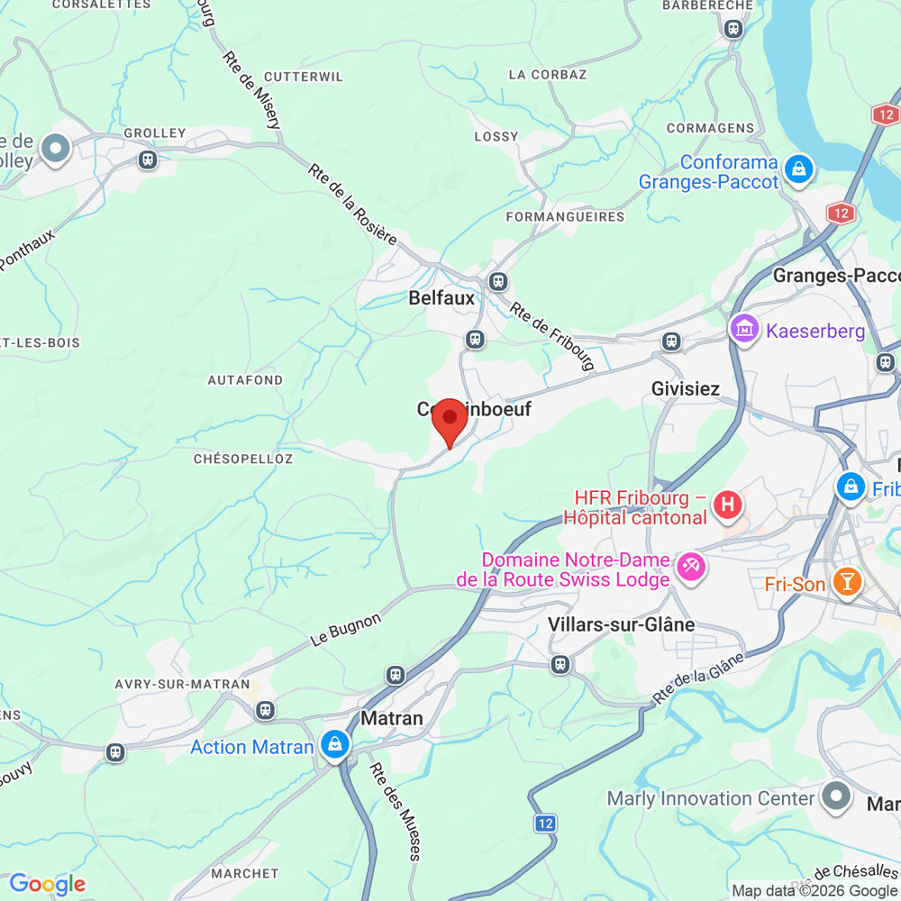 Appartamento di 3 locali in affitto a Corminboeuf - immagine 1/7