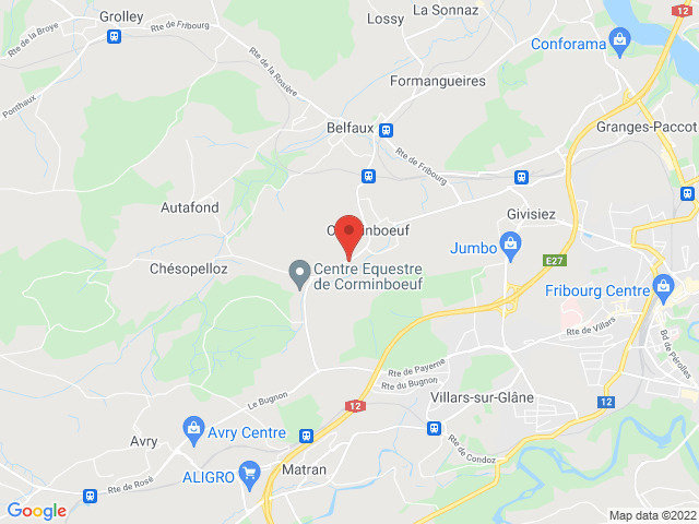 Appartamento di 5 locali in affitto a Corminboeuf - immagine 1/8