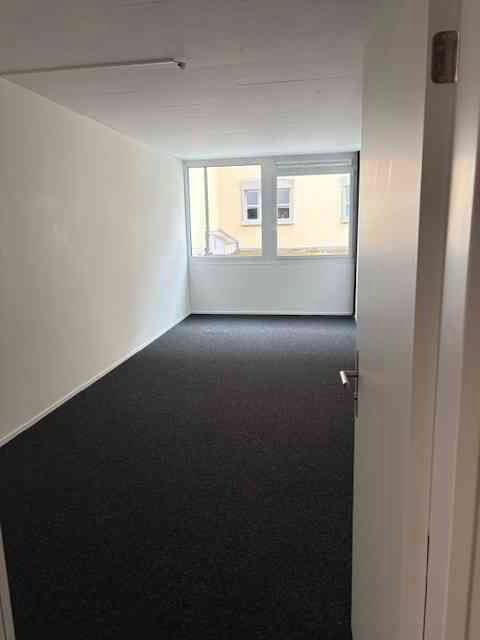 Ufficio & Commercio di 1 locali in affitto a Sempach Station - immagine 1/4