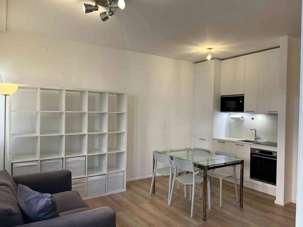 Appartamento di 1.5 locali in affitto a Massagno - immagine 1/6