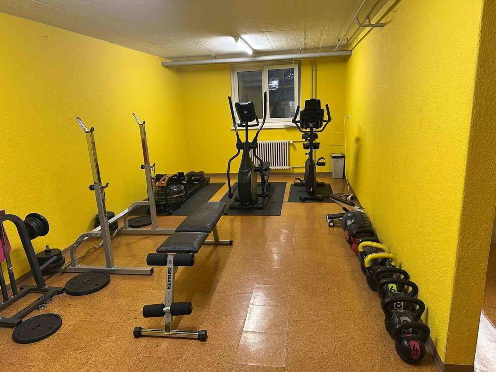 Appartamento di 3.5 locali in affitto a Winterthur - immagine 1/13