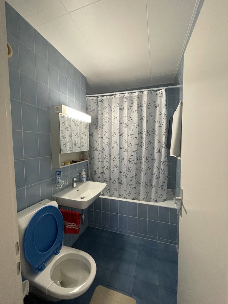 Appartamento di 3 locali in affitto a Lausanne - immagine 1/8