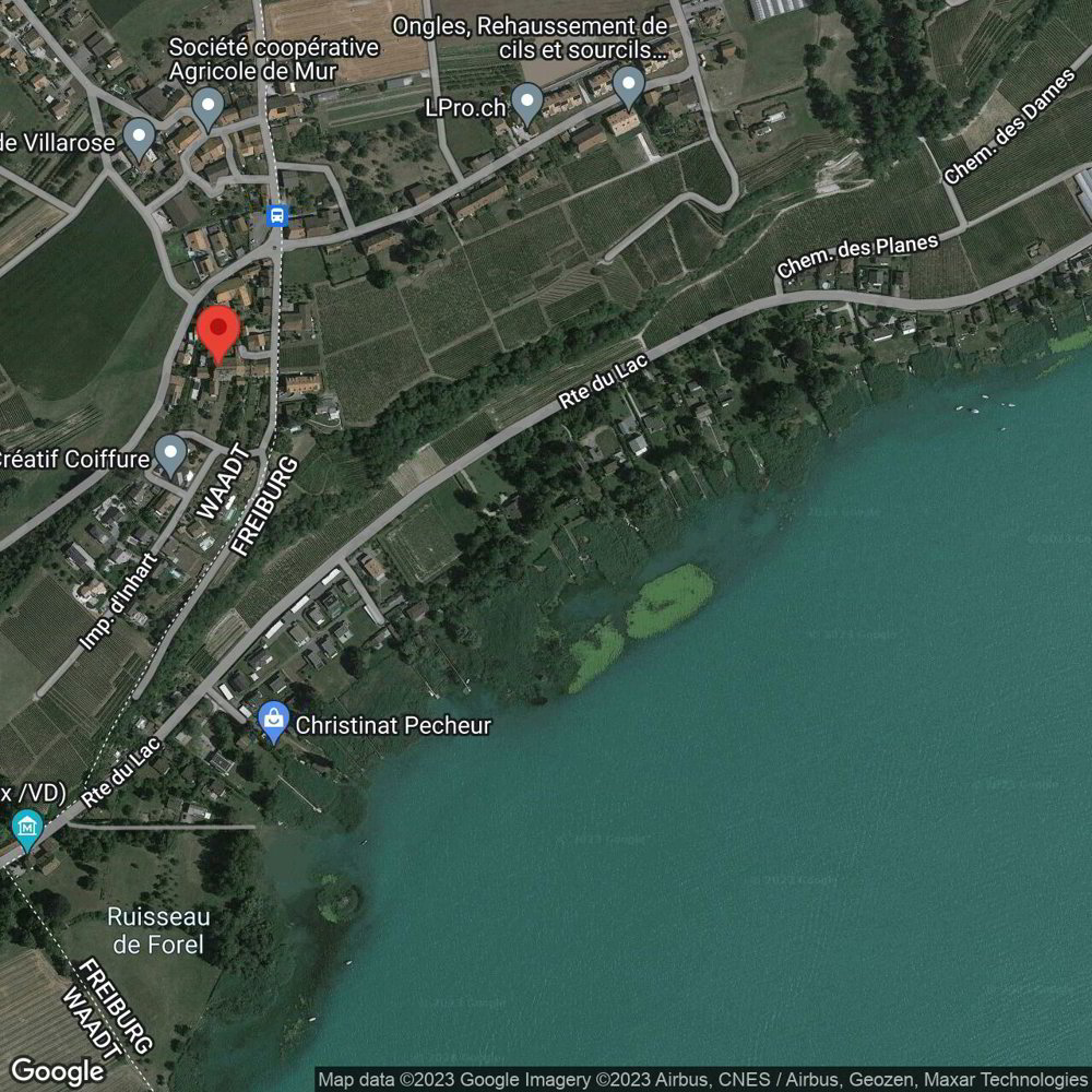 Appartamento di 3.5 locali in affitto a Mur (Vully) VD - immagine 1/16