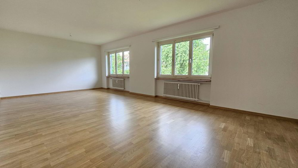 Casa di 2 locali in affitto a Bâle - immagine 1/7