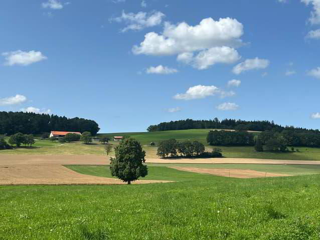 5.5 Zimmer Haus zum verkaufen in Villariaz - Bild 1/8